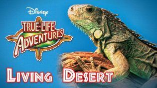 The Living Desert photo
