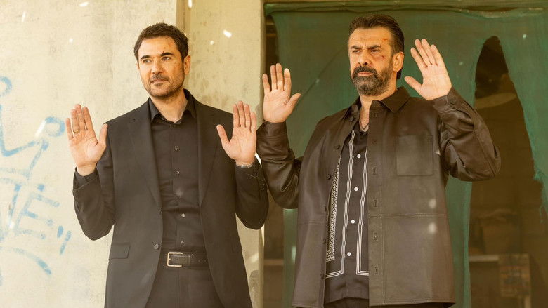 7 كلاب photo