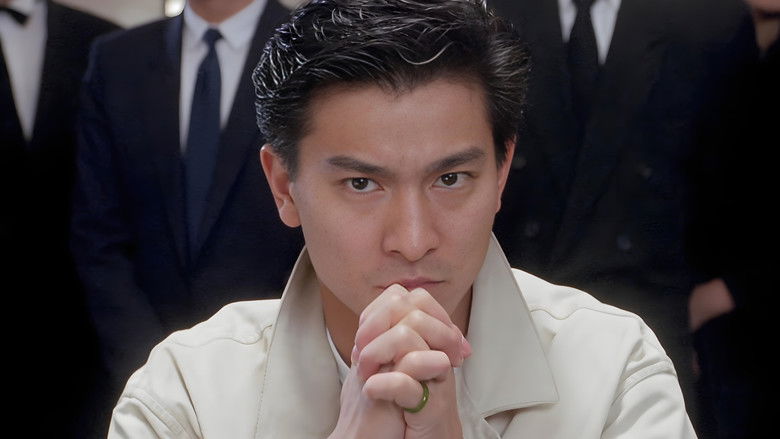 赌侠 photo