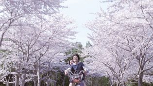 海街日记 photo
