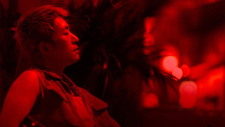 狂野时代 photo