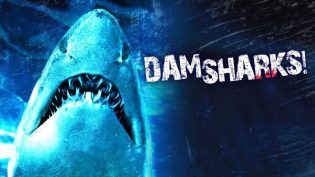 Dam Sharks! photo