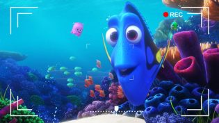 Dory's Reef Cam photo