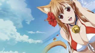 玩伴猫耳娘 photo