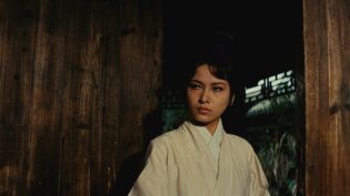 侠女 photo