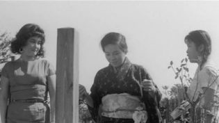 日本昆虫记 photo