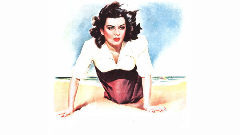 海滩上的女人 photo