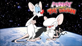 Pinky and the Brain photo