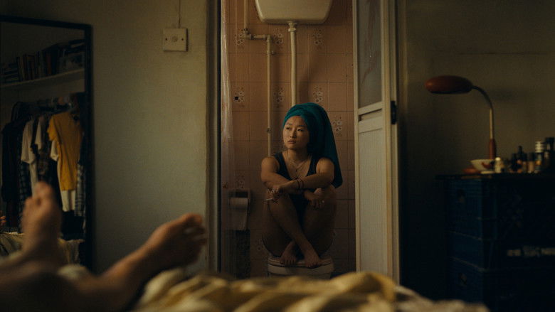 外派人员 photo