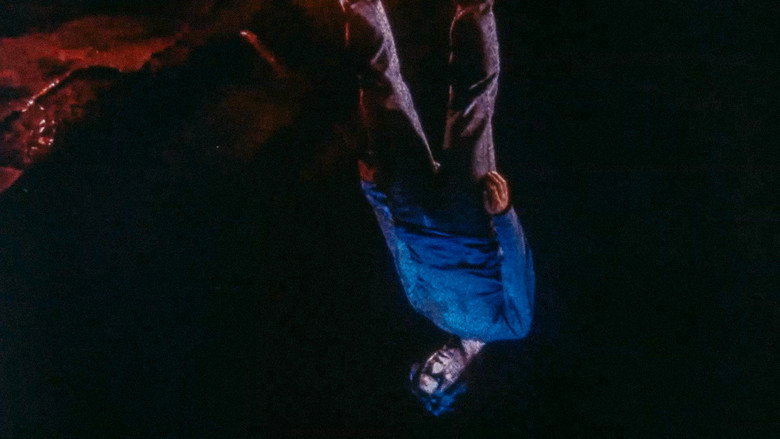 死者回归 photo