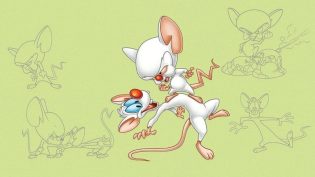 Pinky and the Brain photo