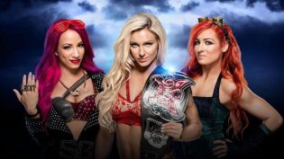 WWE 摔角狂热 32 photo