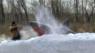 雪中鲨:古代的野兽 photo