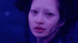 双生儿 photo