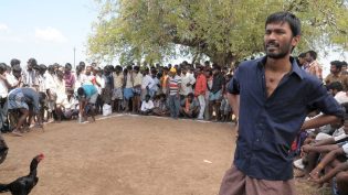 ஆடுகளம் photo