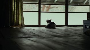 小森林：夏秋篇 photo