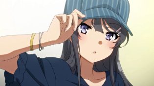 青春猪头少年不会梦到兔女郎学姐 photo
