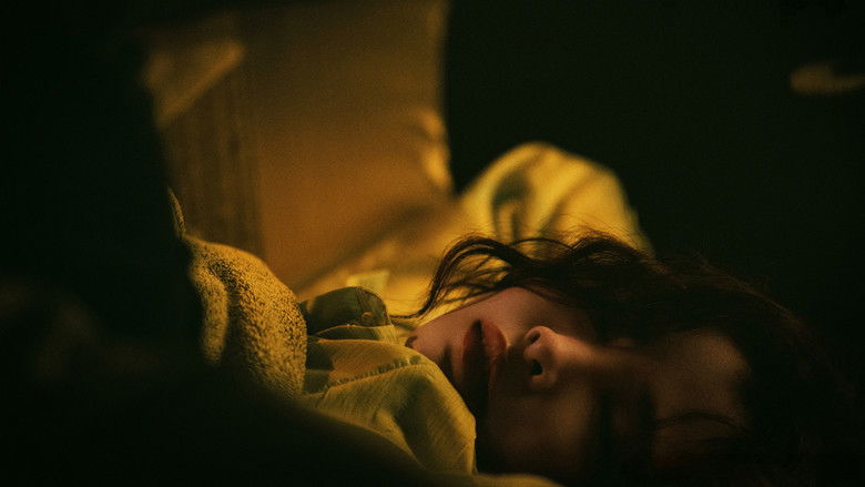 临暗 photo