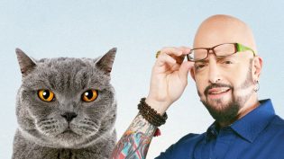 家有恶猫 photo