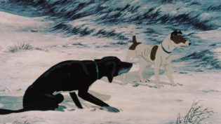 疫病犬 photo
