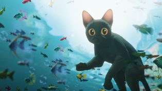 猫猫的奇幻漂流 photo