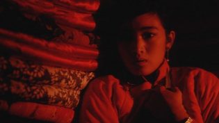 红高粱 photo