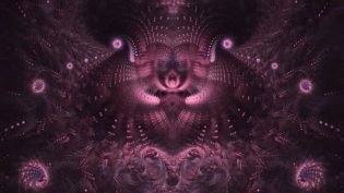 二甲基色胺：精神分子 photo