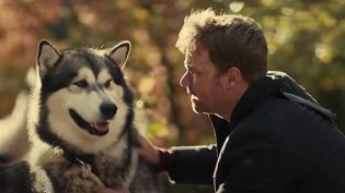 Hero Dog: The Journey Home photo