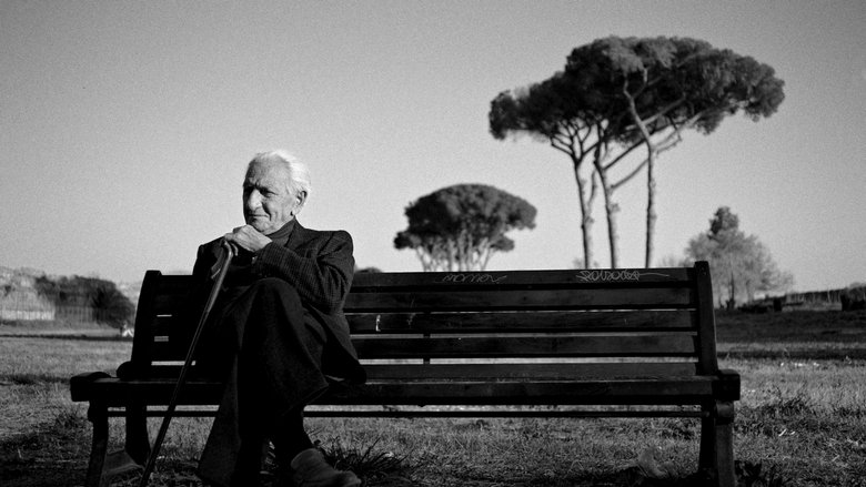 The Treasure of His Youth: The Photographs of Paolo Di Paolo photo