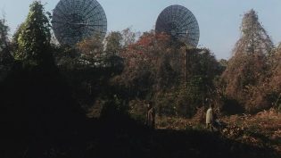超凡神树 photo