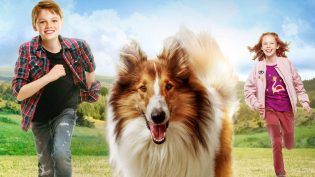 Lassie-冒险之旅 photo