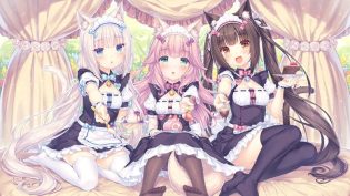猫娘乐园 photo