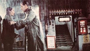 苏丝黄的世界 photo