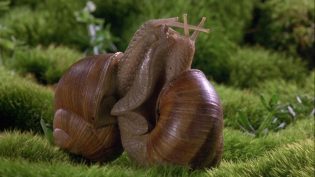 微观世界 photo