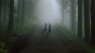 目击证人 photo