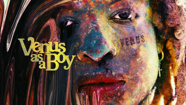 Venus as a Boy photo