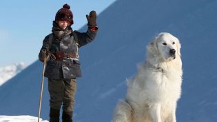 灵犬雪莉 photo