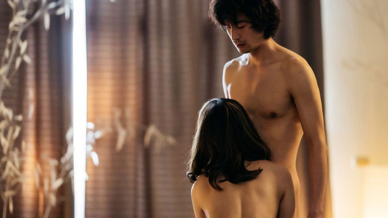 动物感伤的清晨 photo