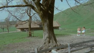 六个瑞典女孩在阿尔卑斯山 photo