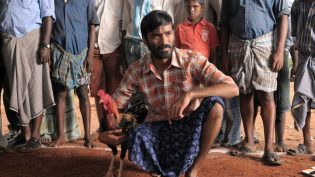 ஆடுகளம் photo