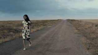 没有男人的女人 photo