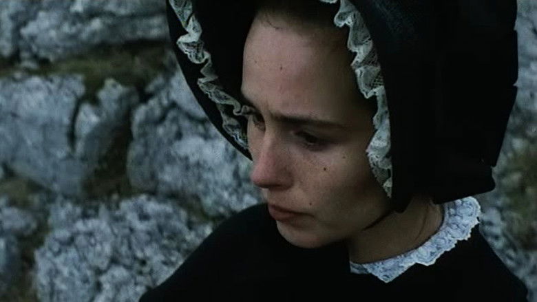 The Tenant of Wildfell Hall photo