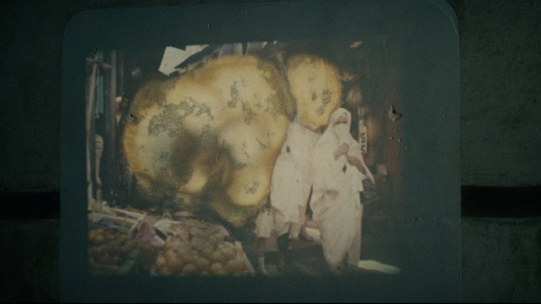 莫里埃尔 photo