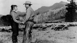 The Sheepman photo