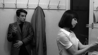 男性，女性 photo