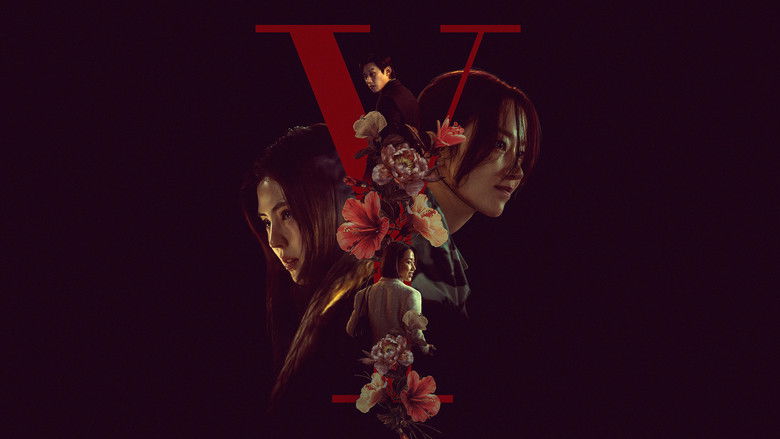 Y计划 photo