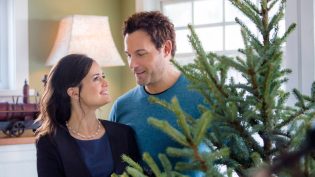 My Christmas Dream photo