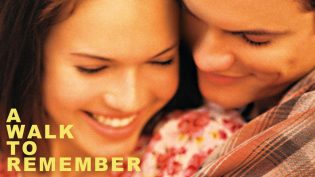 初恋的回忆 photo