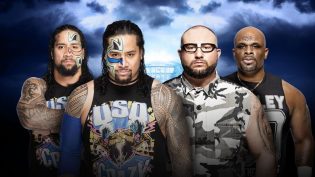 WWE 摔角狂热 32 photo