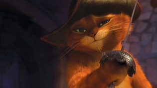 穿靴子的猫 photo